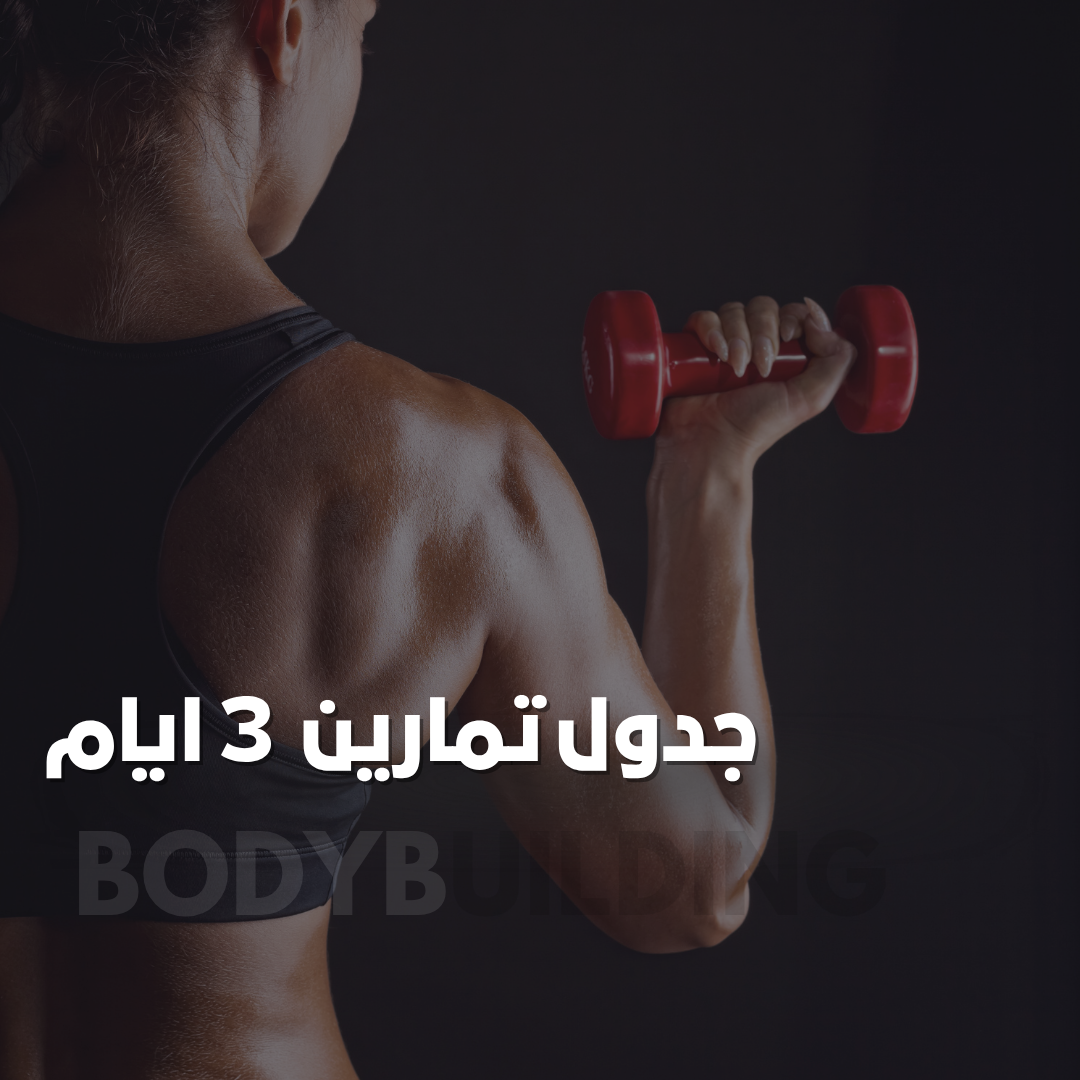 باقة الأداء والرفاهية المتميزة