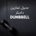 خطة تمارين دامبلز