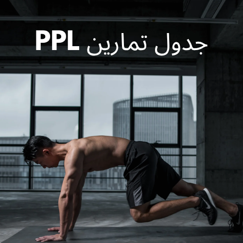 خطة تمارين PPL